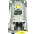 Rexroth A2FO 16/61R-VZB05 A2FO 23/61R-VZB05 A2FO 32/61R-VPB05 A2FO 80/61R-VPB05 Hydraulikmotor Plungerpumpe Kranpumpe